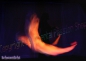 Preview: double veil "Neon-Illusion" neonorange & silkwhite, unique silk veils handdyed - Kopie