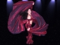 Preview: 1 organza veils, different colors