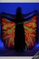 Preview: silk wings, "Burning Fire"