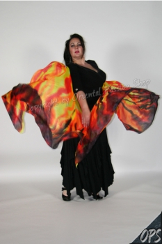 silk wings, "Burning Fire"