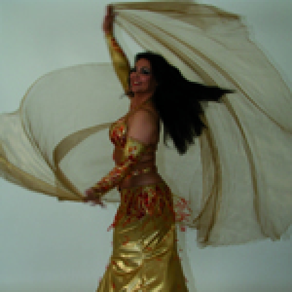 1 organza veils, different colors